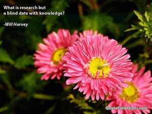 will_harvey_quotes Quotes 1